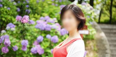 紫陽花の季節に…